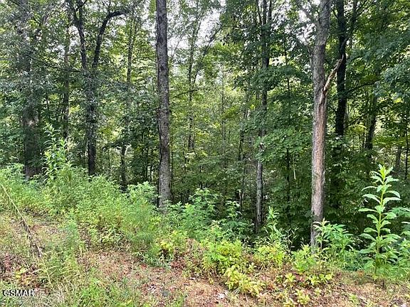4th image of 3407 Covemont Ln Lot 1