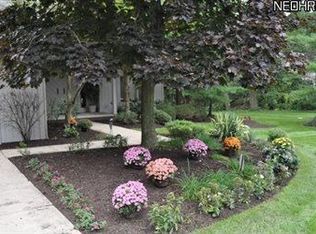 4100 Orangewood Dr, Orange, OH 44022
