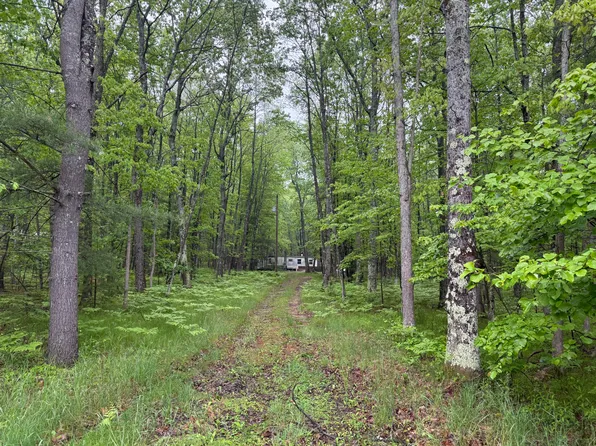 8073 W 10 1/2 Mile Rd, Irons, MI 49644