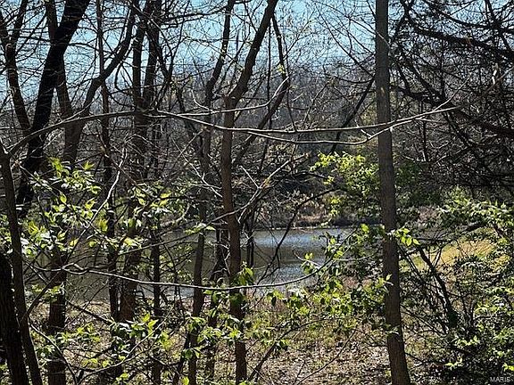 3rd image of 9642 Greenview Ct