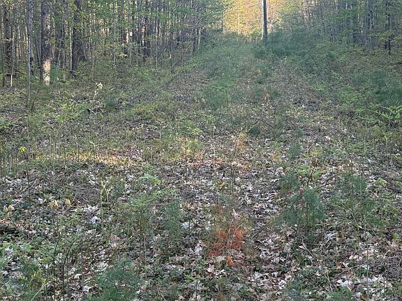 3rd image of N Woodland Ave