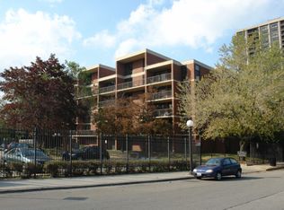 3041 S Michigan Ave UNIT 309, Chicago, IL 60616