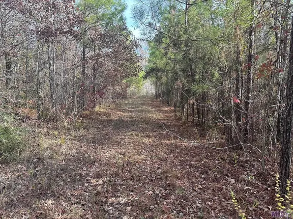 0 Tarver Rd, Olla, LA 71465