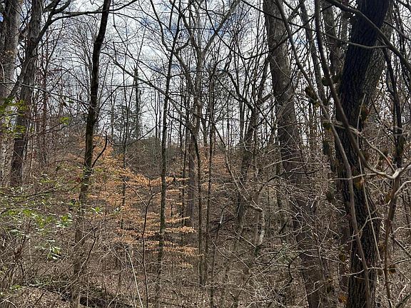 5th image of Lots 6&7 Lamont Ln