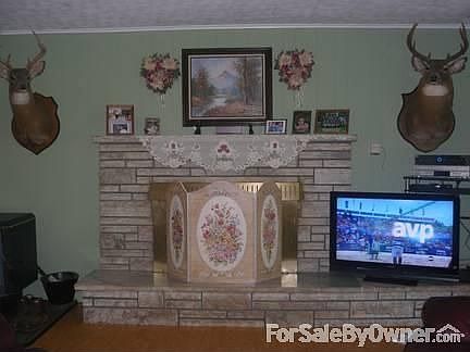 Den with fireplace