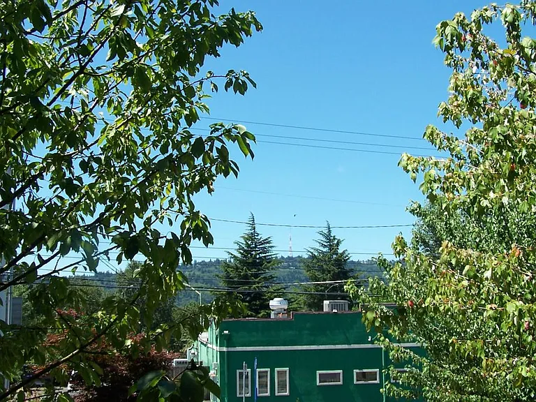 View out front