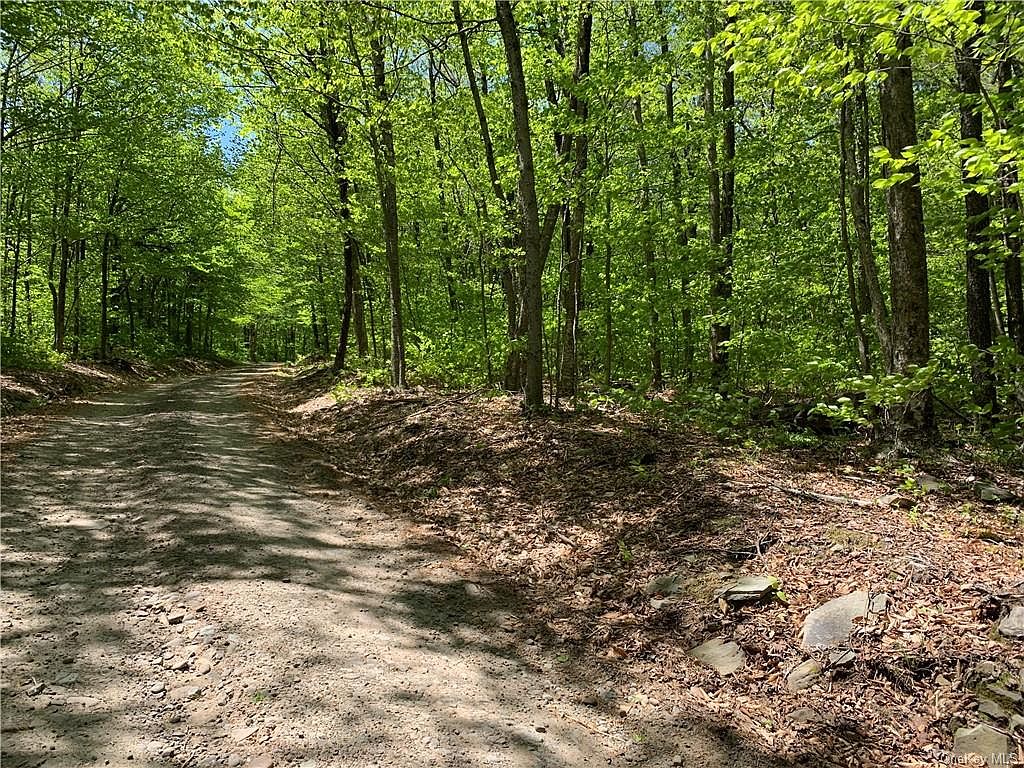 Bethlehem Road, Callicoon Center, NY 12724 Zillow