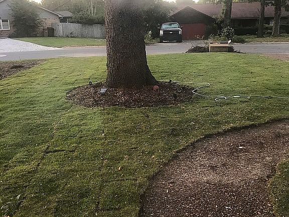 Front yard - sod