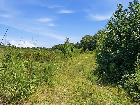 5th image of 3390 Hunter Rd Lot 2