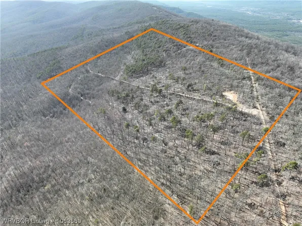 Kiamichi Ln, Hodgen, OK 74939