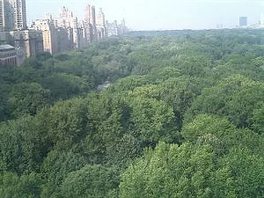 Rented by Douglas Elliman | media 9