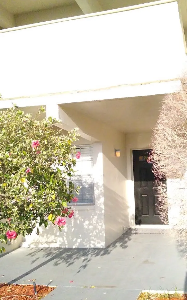 1 bed, 1000 sqft, $1,650 — Photo 1