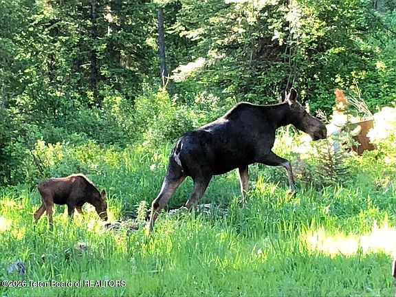 5th image of 6785 W Lupine Trl