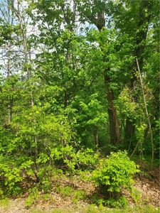 Wembly Dr #35, Bella Vista, AR, 72715