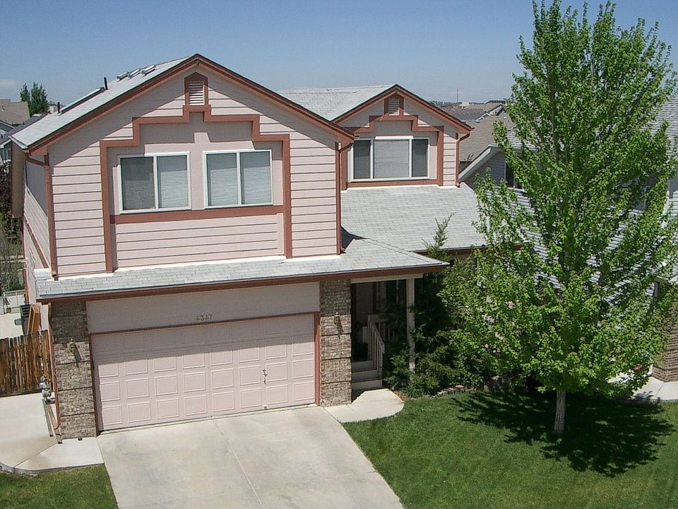 Front view, nice Maple in front