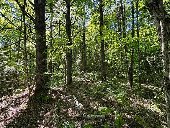 4th image of 2800 Dugar Brook Road
