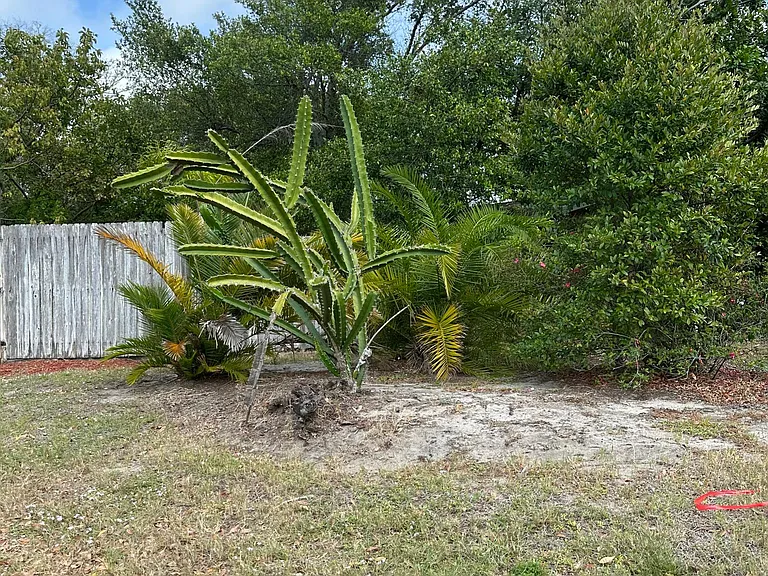 1546 Belleair Rd — Photo 14