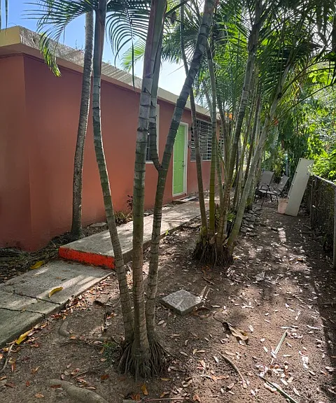 5004 Mango Ln #1A — Photo 14