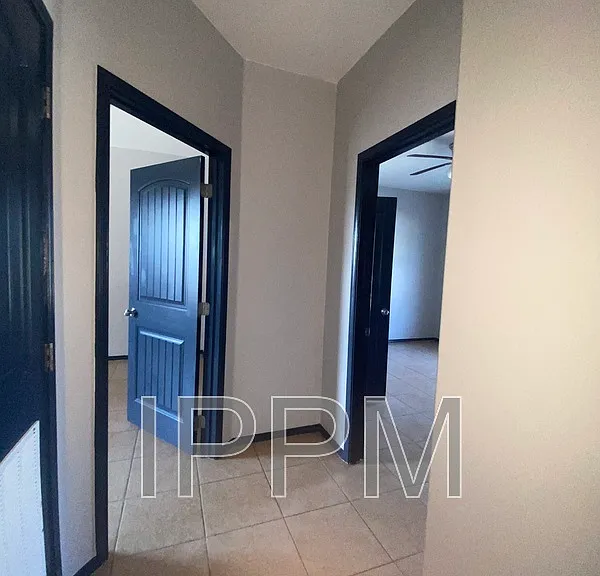302 S FM 491 — Photo 2