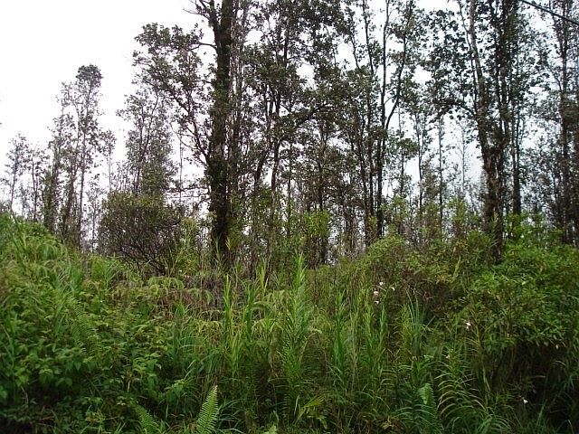 1st image of Road 7 Opeapea Lot 4702
