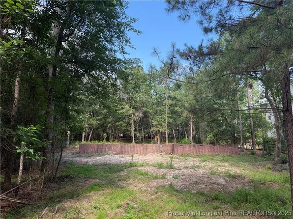 308 Chestnut Dr, Vass, NC 28394