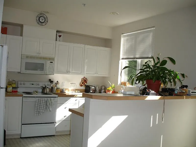 2066 Newport Way NW — Photo 1