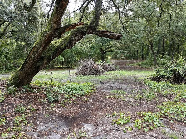 128 Lake Como Dr, Pomona Park, FL 32181