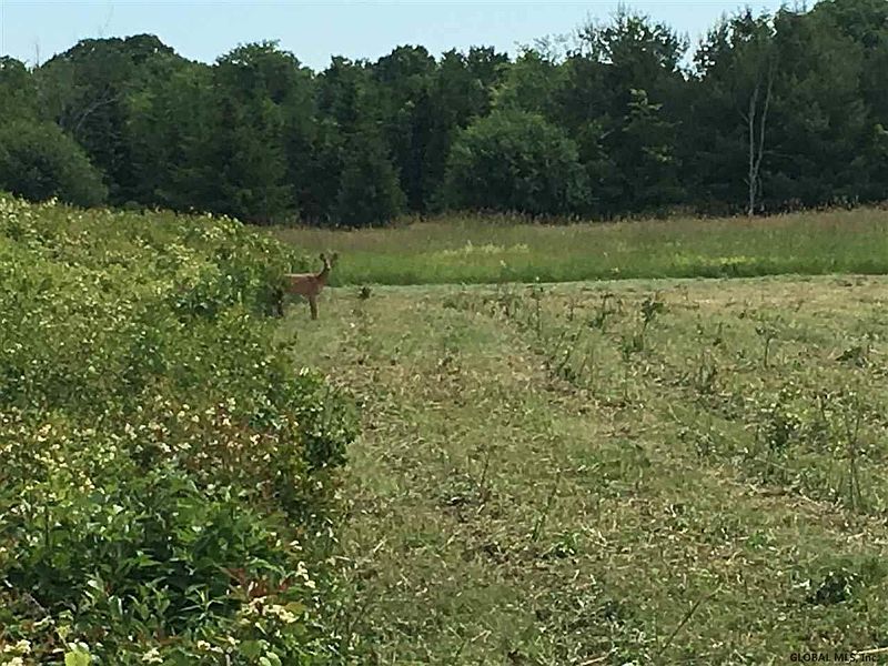 3rd image of 0 BOZENKILL Road