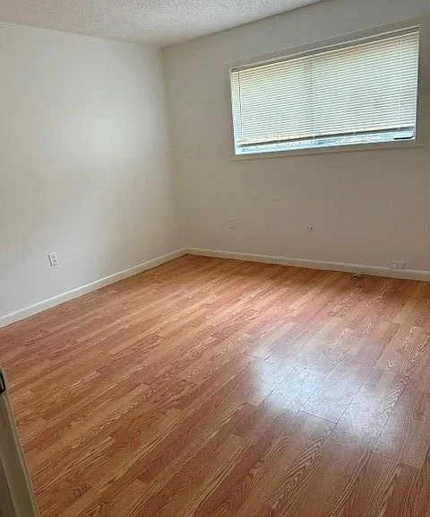 8827 Rowan Ln — Photo 5