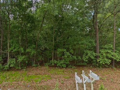 Tbd Palmer Road, Marston, NC, 28363