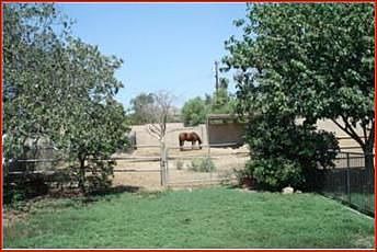 Room For Your Horses