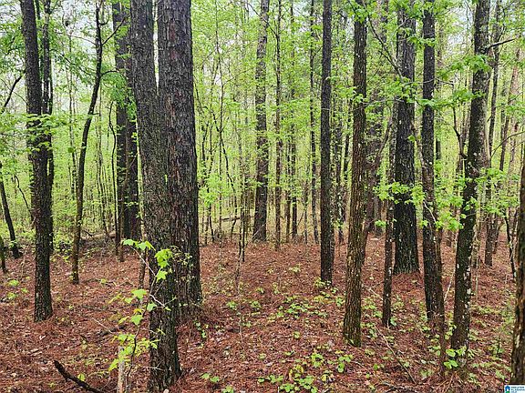 4th image of 0 County Road 111 #1