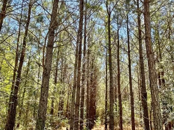 0 Harry Priddy Rd, Americus, GA 31719
