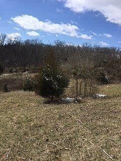 2nd image of 0 Fort Bramlett Rd #3