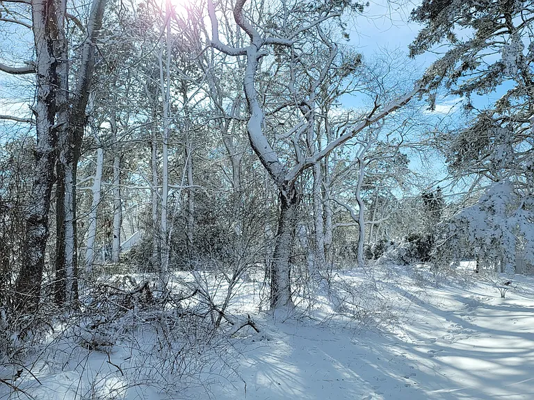 Lower County Rd — Photo 35