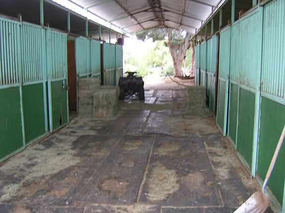 10 stall breezway barn