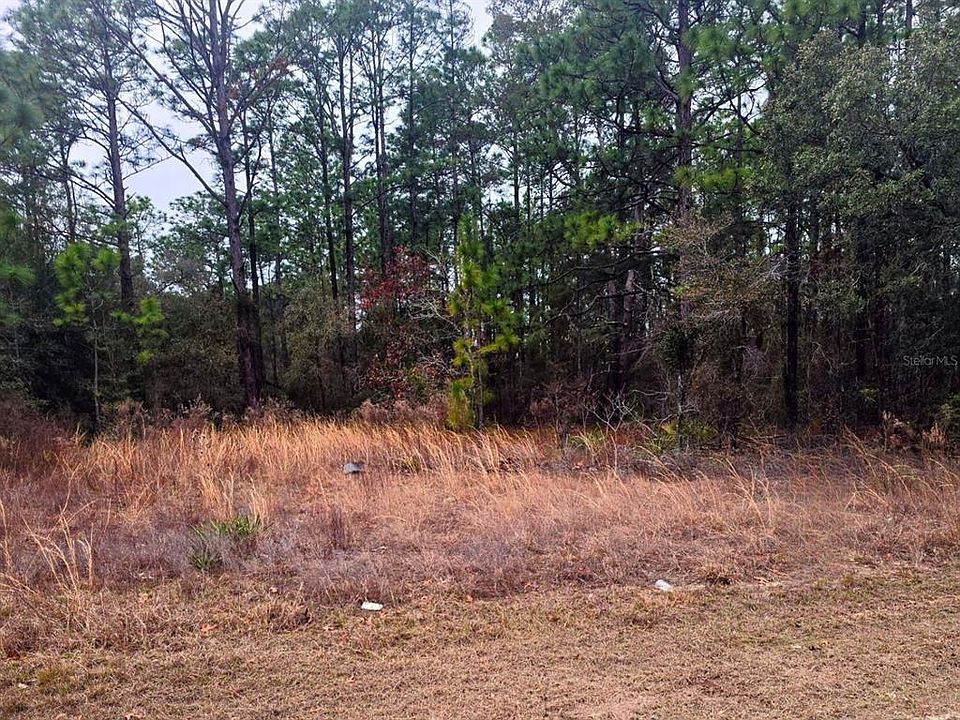 1st image of 7372 N MALTESE DRIVE LOT 31