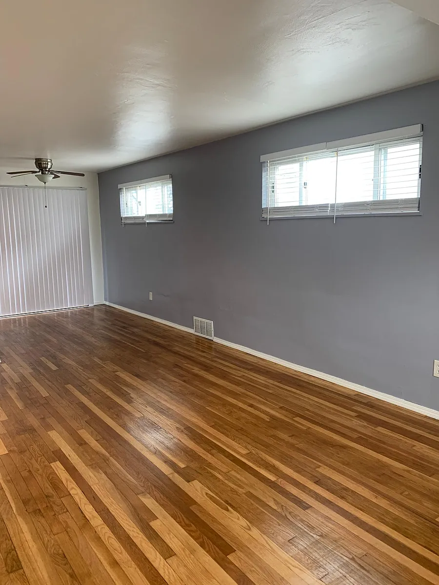 Living Room with fresh light grey accent wall - 388 Princeton Dr
