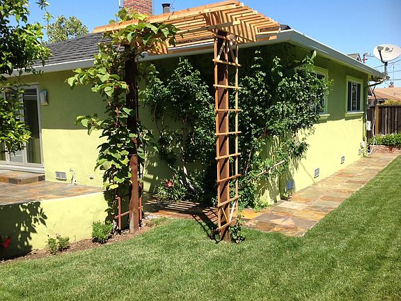 back yard