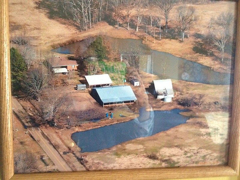 Airial View of 3.86 Acre Farm/Ranch : View showing Home,Activity Bldg.,2 Barns,2 storage sheds,Grain