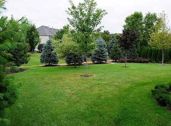 4th image of 16000 Ridgewood Dr
