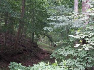 0 Golden Ave, Dahlonega, GA 30533