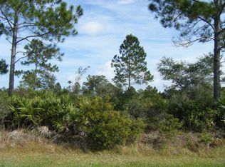 13 Seriema Pl, Palm Coast, FL 32164