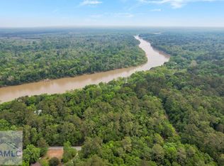 LOT 12 Moss Lndg, Jesup, GA 31545