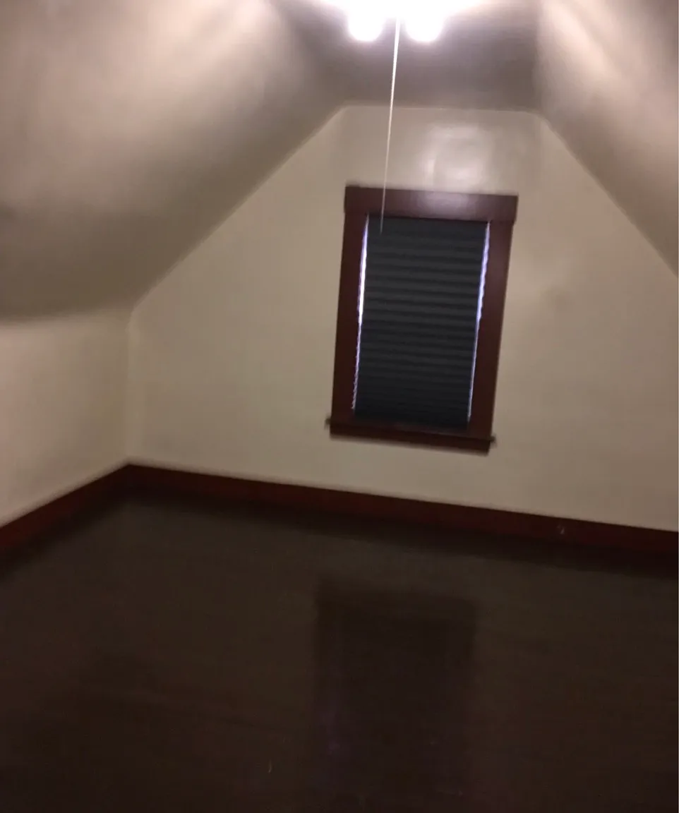 Studio, 800 sqft, $550 — Photo 2
