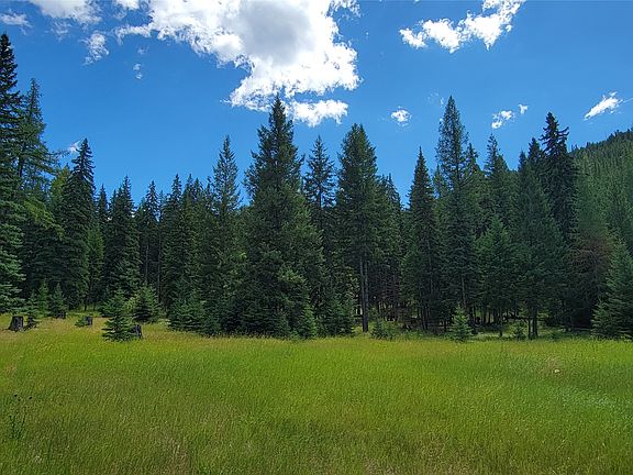 4th image of 1720 Coon Hollow Rd