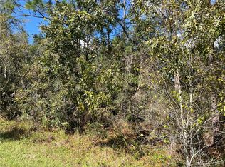 3249 E Murray St, Inverness, FL 34453