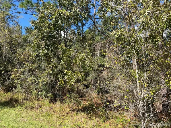 3249 E Murray St, Inverness, FL 34453