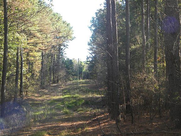 2nd image of 164 Webber Rd