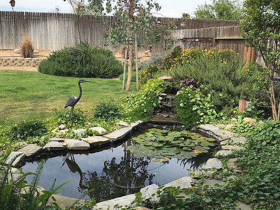 Koi pond with waterfall